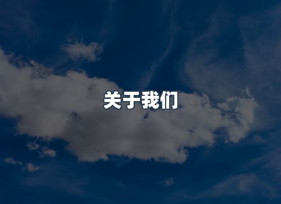 专业团队